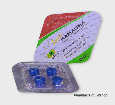 Kamagra générique pas cher